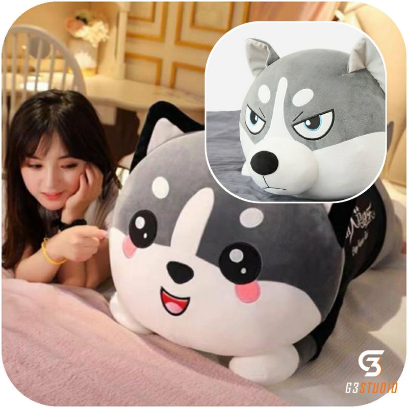 Gấu bông Mèo Husky  Siêu To Cân Đối.