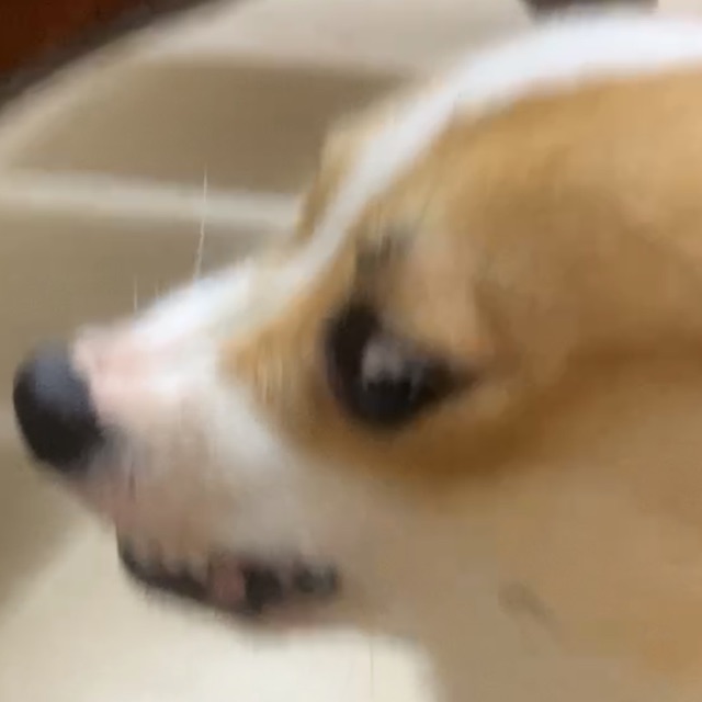 ngchaaa