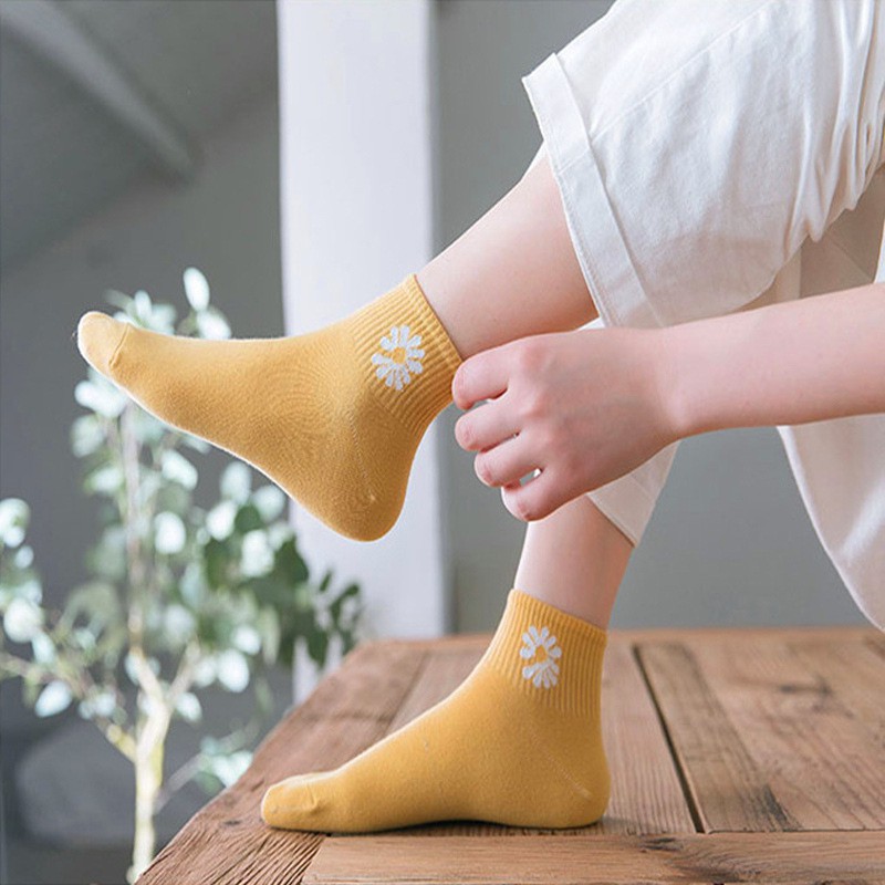 Tất AOWEINISI nhiều màu sắc thời trang cho nữ