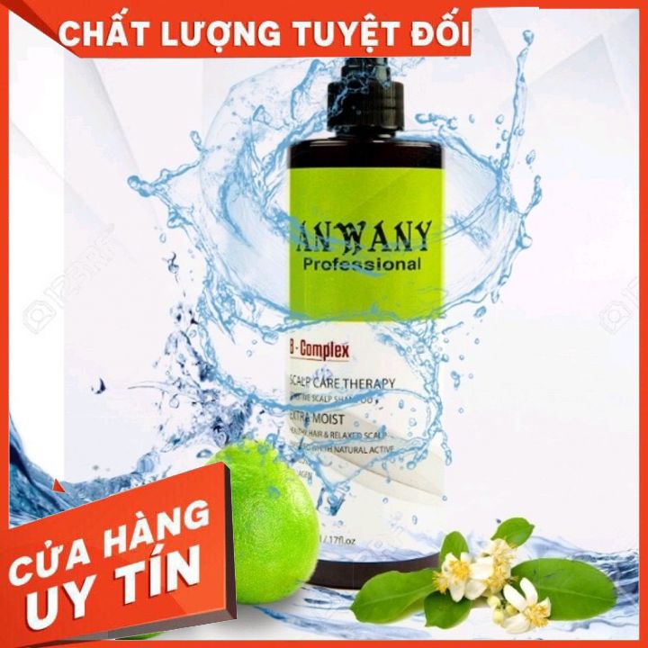 (HÀNG CHÍNH HÃNG)DẦU GỘI ĐẦU NGĂN NGỪA GÀU MỀM MƯỢT TÓC ANWANY 500ML-NGĂN RỤNG TÓC KÍCH THÍCH MỌC TÓC -CHO TÓC BÓNG MƯỢT