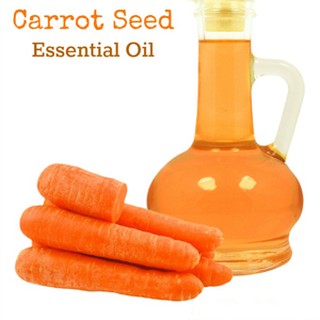 Tinh dầu Carrot