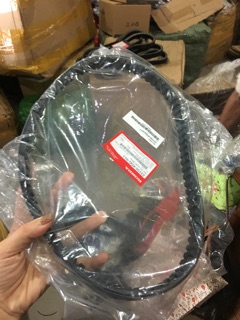 Dây curoa Sh Việt