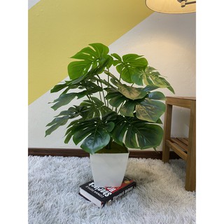 Cây trầu bà lá xẻ cao 70cm, cây giả decor trang trí nhà cửa, văn phòng, homestay