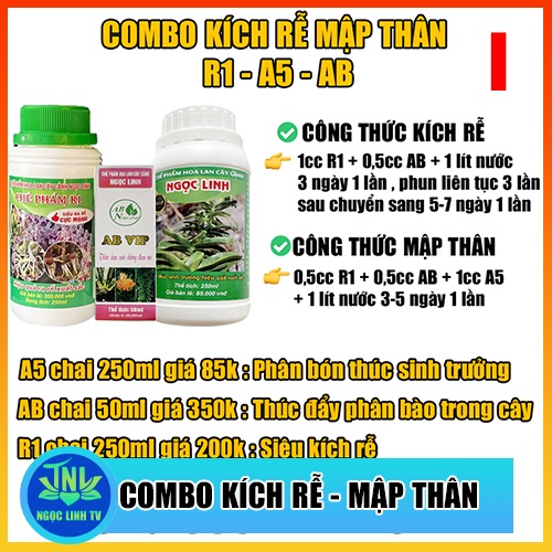 Bộ sản phẩm nhử rễ , mập thân , to lá , chống thắt ngọn cho phong lan , cây cảnh