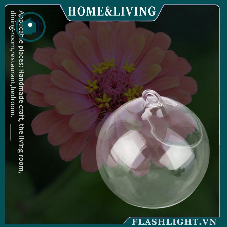 Chậu hoa thủy tinh treo sáng tạo / trang trí văn phòng / hộp thủy tinh / bình phong cảnh 8cm