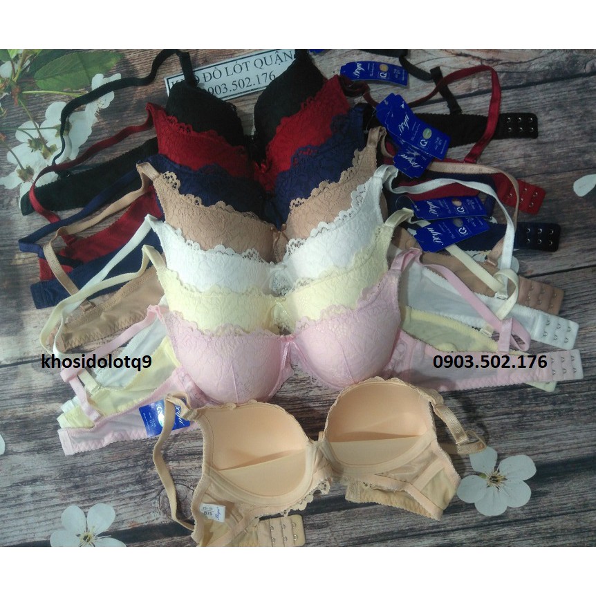 Áo lót Boya ren không gọng,mút ép mỏng