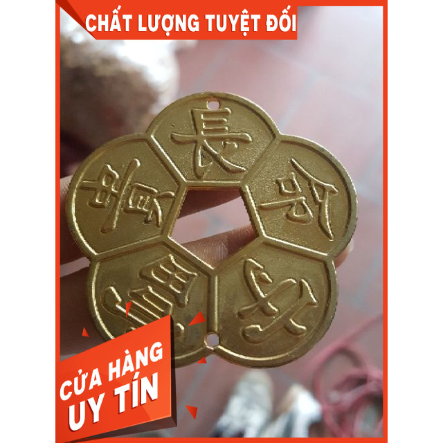 Đồng Hoa Mai Kim Tiền Loại To-Xu Mai Phong Thủy