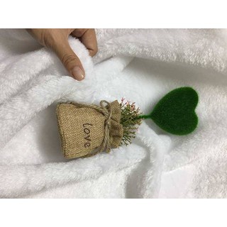 Thảm lông chụp hình màu trắng lông ngắn mẫu 2