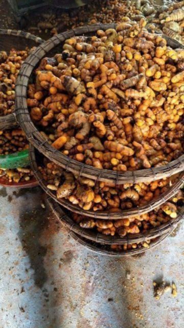 Tinh bột nghệ hộp 500g nguyên chất bao test