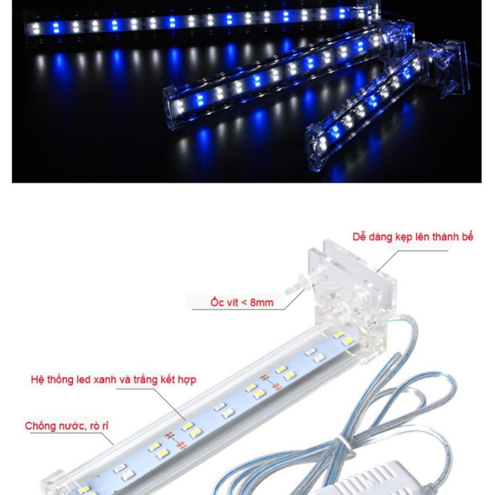 ✔️ bóng đèn led,Đèn led lắp cho bể cá LED D30 [MUA BAO NHIÊU TẶNG BẤY NHIÊU]