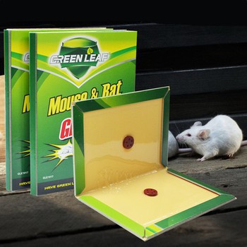 Keo Dính Chuột  Mouse &amp; Rat Glue Traps Keo Siêu Dính