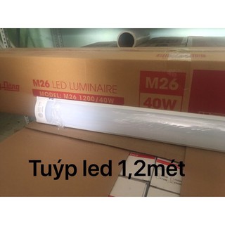 Đèn tuyp led rạng đông