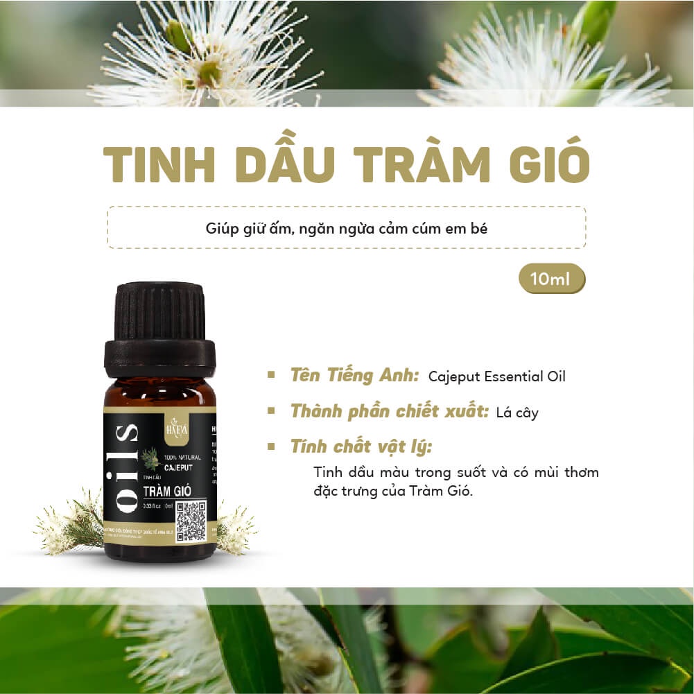 Tinh dầu Tràm Gió Haeva Cao Cấp, 100% Thiên Nhiên, giúp giải cảm, tốt cho hệ hô hấp và mẹ bầu,Chai 10ml/30ml/100ml