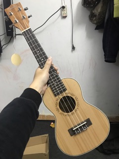 ĐÀN UKULELE CONCERT FENDER GỖ THẬT