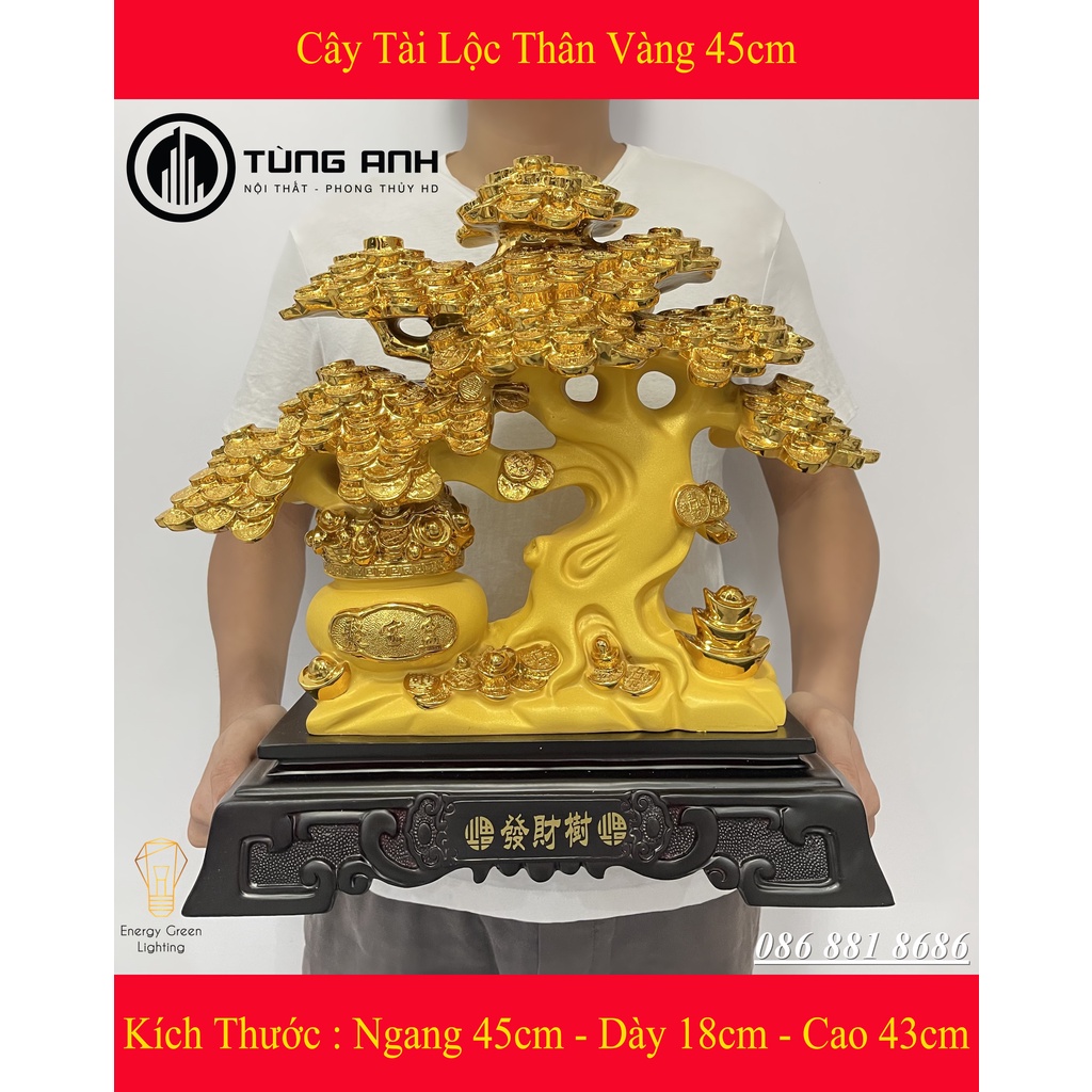 Cây Tài Lộc Thân Vàng Size 45cm - Món Quà Của Sự Sung Túc - Mang Lại Sự May Mắn - Phát Lộc , Phát Tài - Có Video Thực Tế