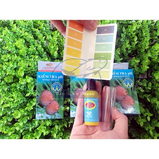 Test PH nước hồ cá