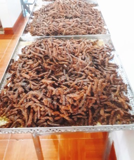 KHÔ BÒ TÂY NGUYÊN (nhà làm)