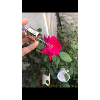 Tinh Dầu nước hoa DUBAI