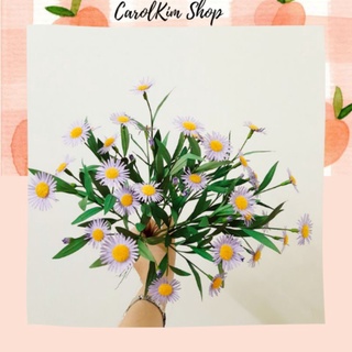 Cành hoa thạch thảo trang trí, chụp ảnh sản phẩm