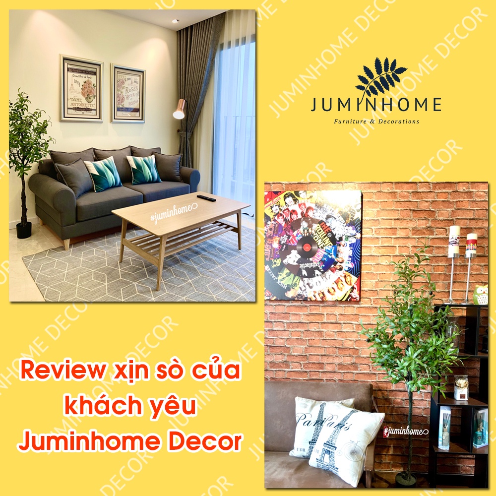 Cây oliu giả, cây olive giả - Cây giả decor trang trí nhà cửa nội thất phòng khách phòng ngủ