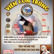 HẠT CÔN TRÙNG CHO CHIM CHÀO MÀO LÃO ĐẠI căng lửa thi đấu dẻo dai