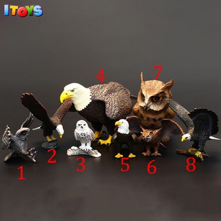Mô hình các loài chim đại bàng, cú, diều hâu vô cùng sắc nét ITOYS
