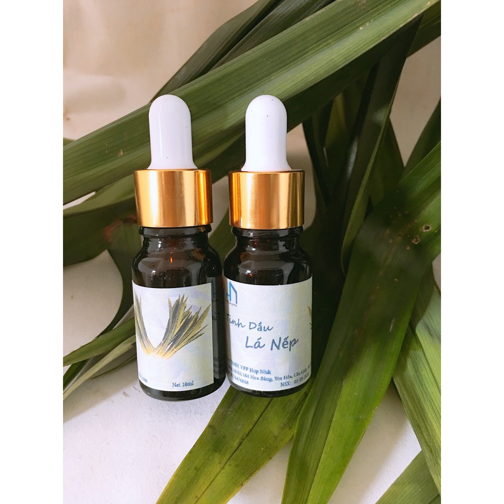 Combo 02 Lọ tinh dầu lá Nếp 10ml