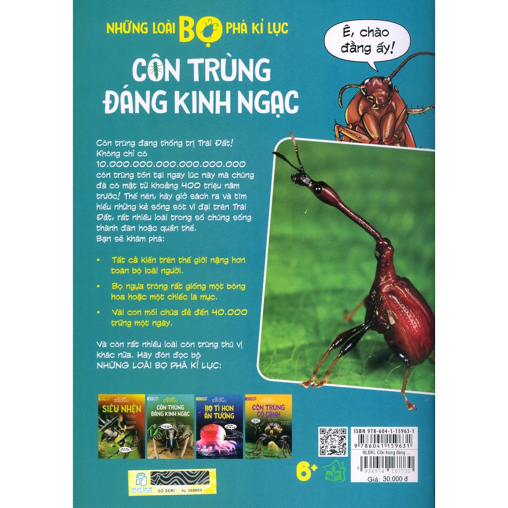 Sách - Những Loài Bọ Phá Kỷ Lục - Côn Trùng Đáng Kinh Ngạc - Matt Turner, Santiago Calle