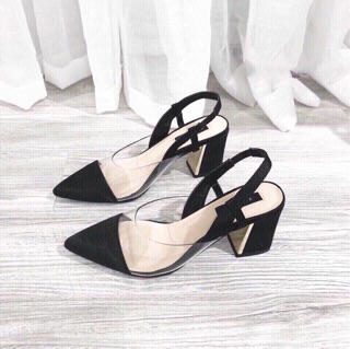 Cao hót Zara Basic