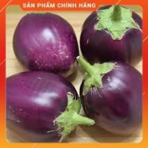 HẠT GIỐNG CÀ BÁT TÍM CAO SẢN