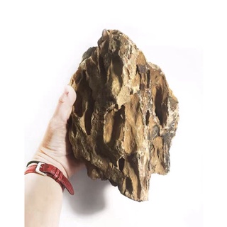 Đá tiger trang trí bể thuỷ sinh cực đẹp cỡ lớn 20~30, 30~40 cm