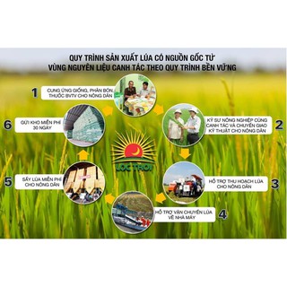 Gạo Thơm ST 5Kg