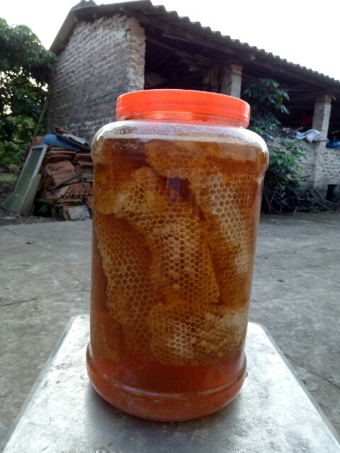 Combo 2 chai mật ong nguyên chất