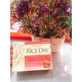 Xà Bông Cục RICEDAY