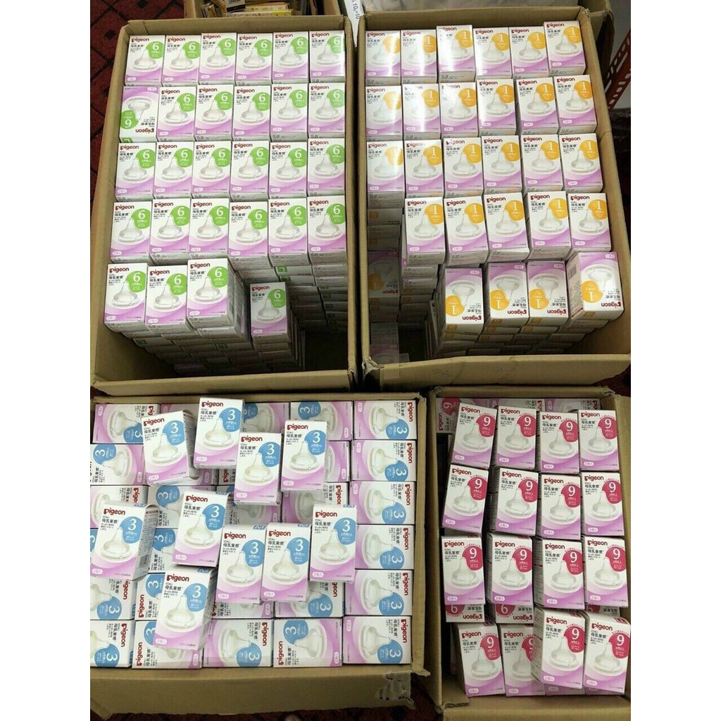 Núm ti Pigeon nội địa Nhật cổ rộng