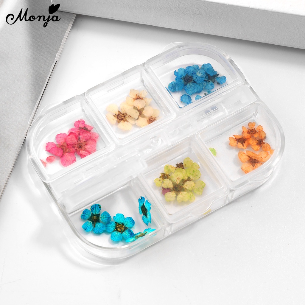 [Hàng mới về] Hoa khô 3d nhiều màu trang trí móng tay nghệ thuật Monja