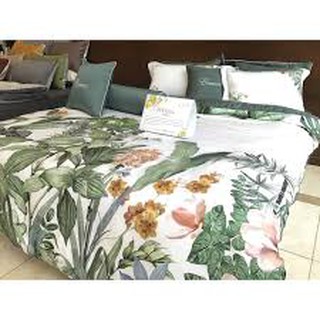 Vỏ gối ôm EVERON EPT-21041 60*80, 80*100