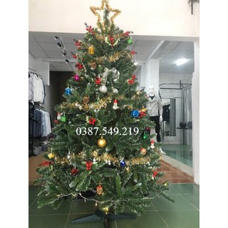 Cây thông noel 3 loại lá gắn trái đỏ 210cm