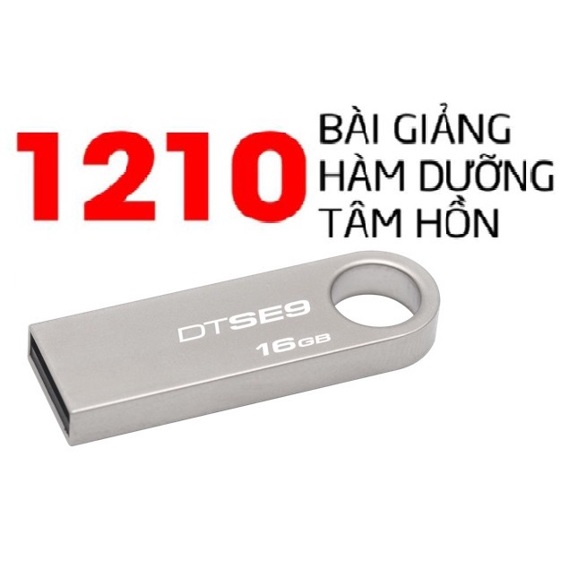 USB HÃNG KINGTON CHÉP 1210 BÀI PHÁP THOẠI HÀM DƯỠNG TÂM HỒN