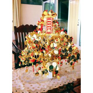 Cây đồng tiền