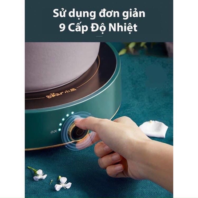 Bếp từ cảm ứng BEAR DCL-A21B1 Công suất 2100W, Chịu nhiệt độ cao, tự động ngắt, siêu an toàn