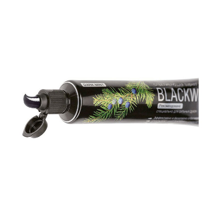 [ Than Hoạt Tính ] Kem Đánh Răng Than Hoạt Tính Splat Blackwood Special Series (75ml) - Chính hãng 100% | WebRaoVat - webraovat.net.vn