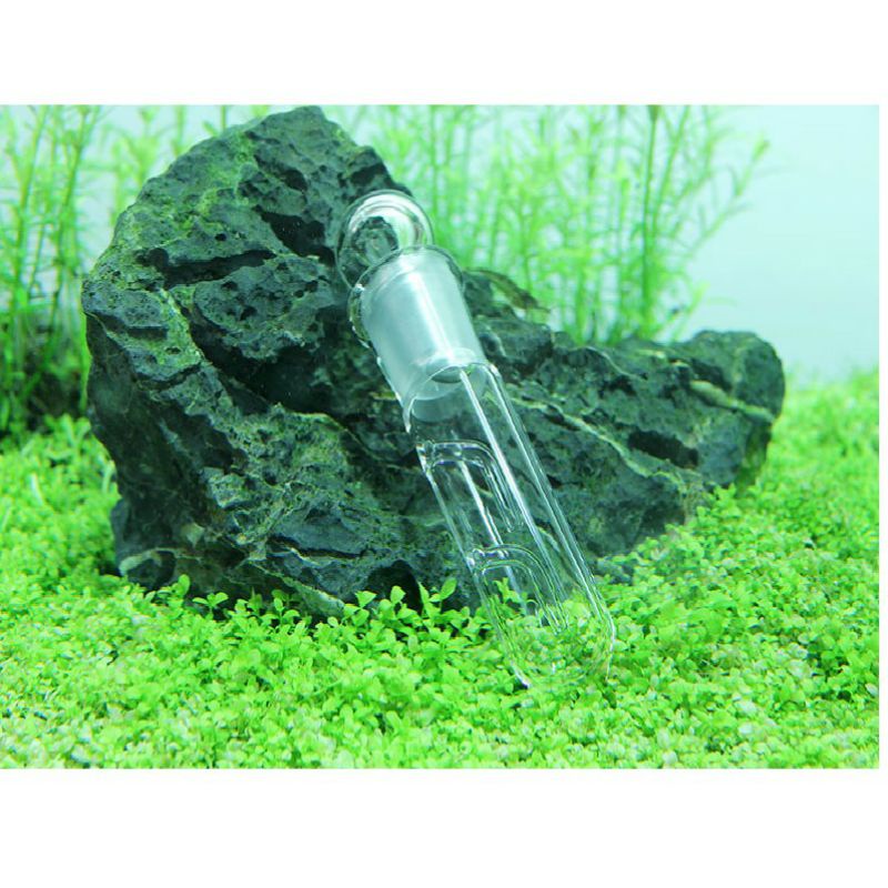 Bẫy sán thủy tinh 1 lỗ, 2 lỗ, 3 lỗ