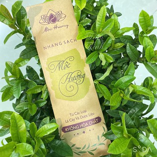 Mẫu Nhang Dùng Thử Hương Khuynh Diệp/Vỏ Quế/Thảo Dược/Từ Bi/Trầm Sả/Hoa Cúc