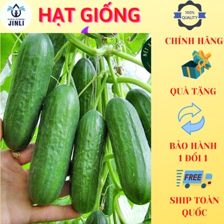 Hạt giống dưa leo nhật f1 jl41