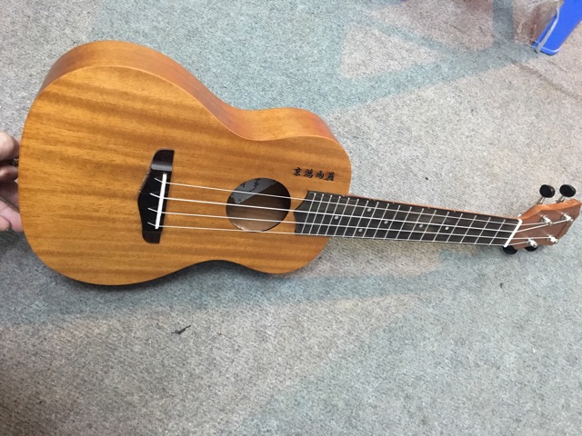 Đàn Ukulele Concert