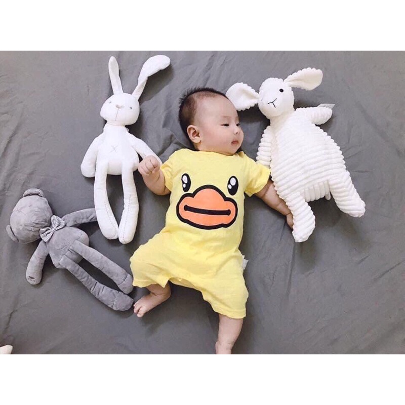 Cừu trắng cho bé