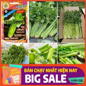 1Gr - Hạt Giống Cần Tây Mỹ Ngọt 75cm