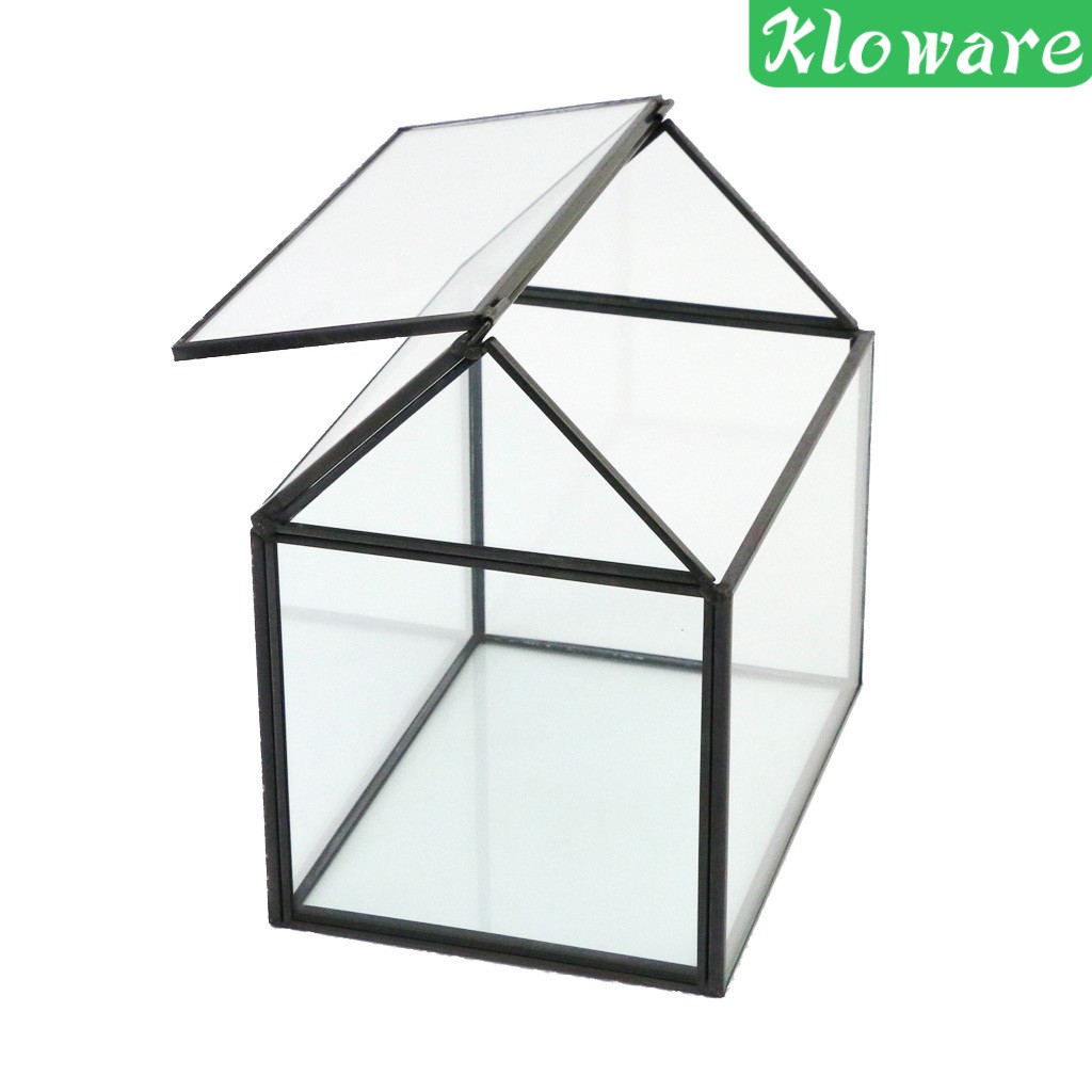 Chậu Trồng Cây Bằng Kính Thiết Kế Hình Học Độc Đáo