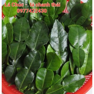Lá chúc tươi- lá chanh thái tươi